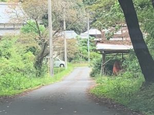 古民家カフェ chou chou|奈良県宇陀市